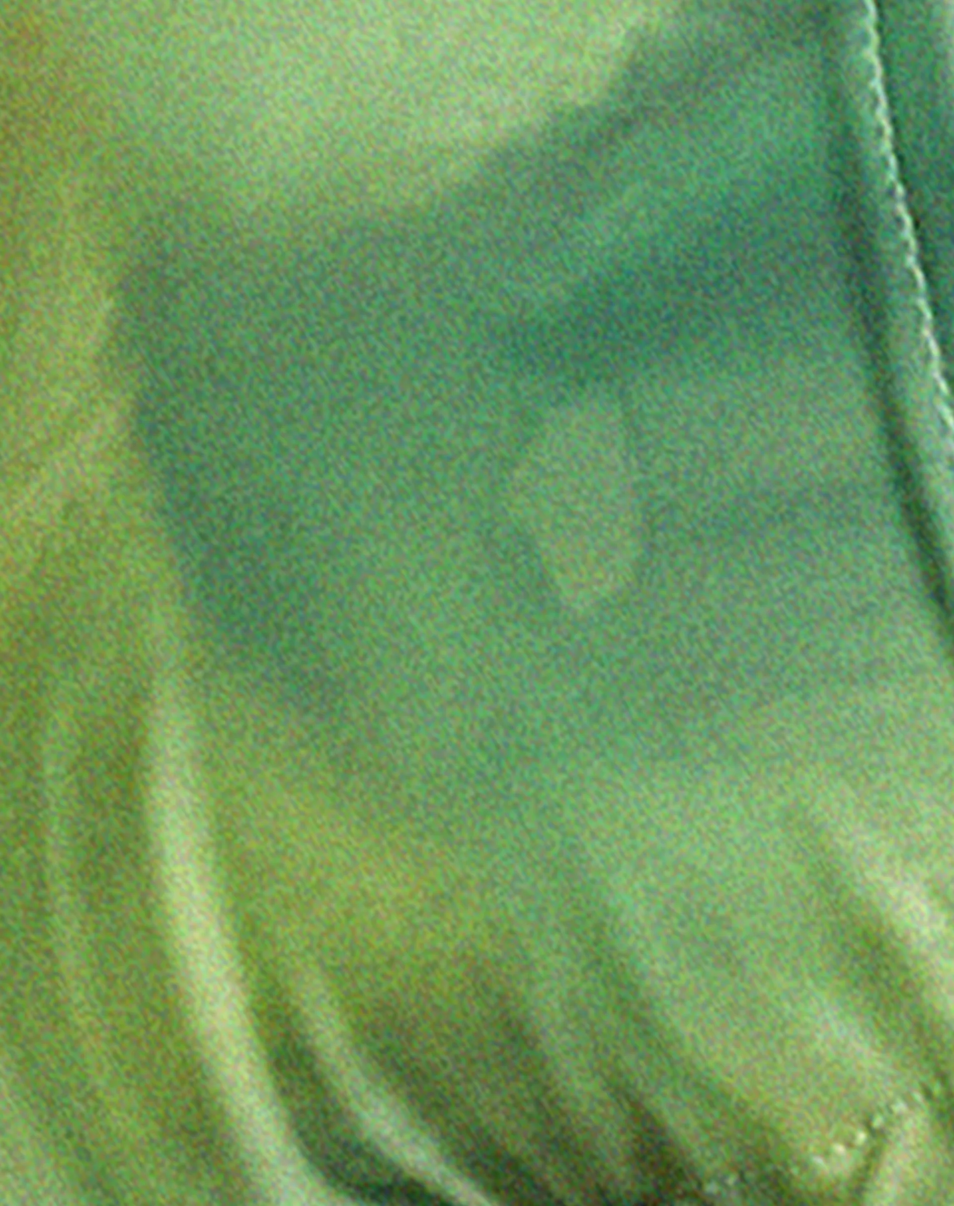 Cerry Bikini Top in Watercolour Green - Image 8