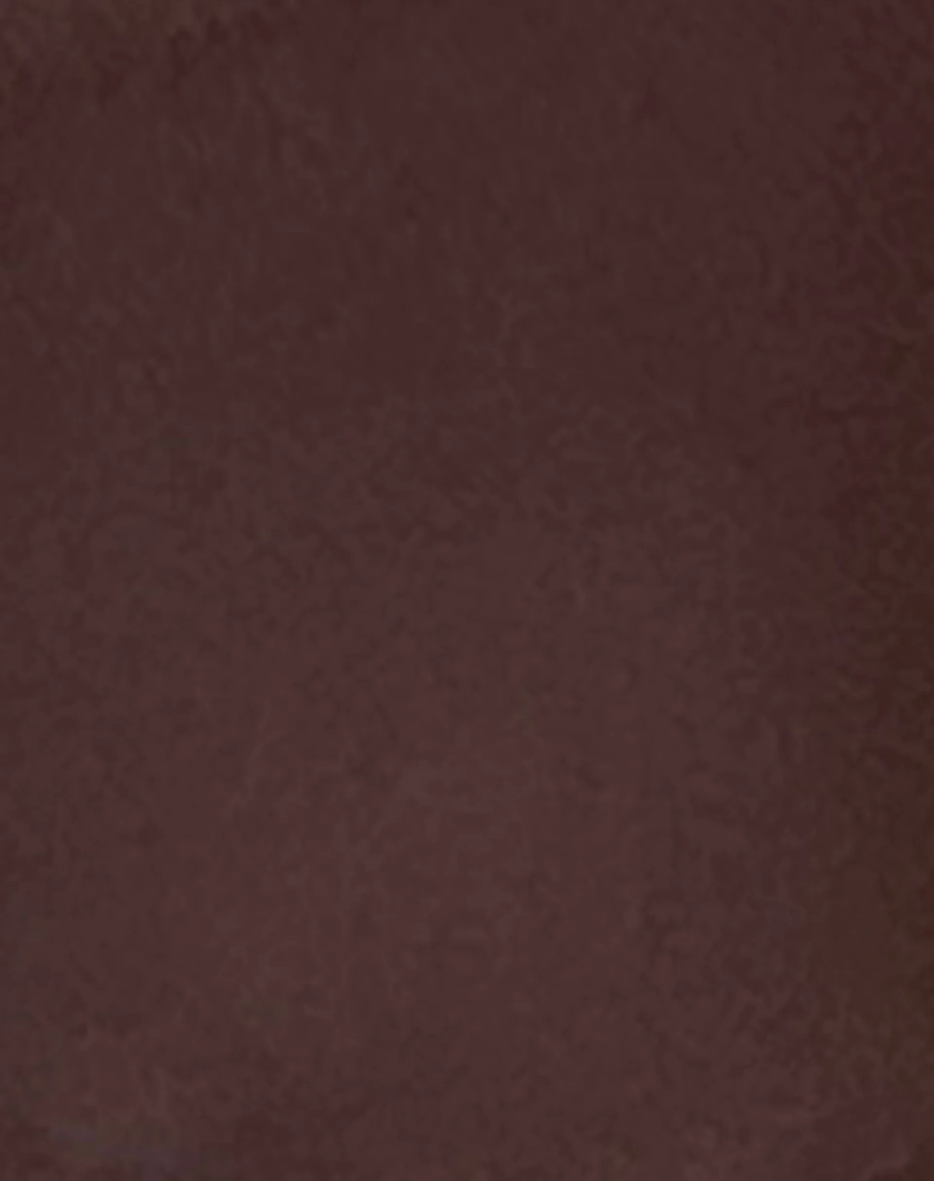 Dolan Bikini Top in Coconut Brown - Image 8