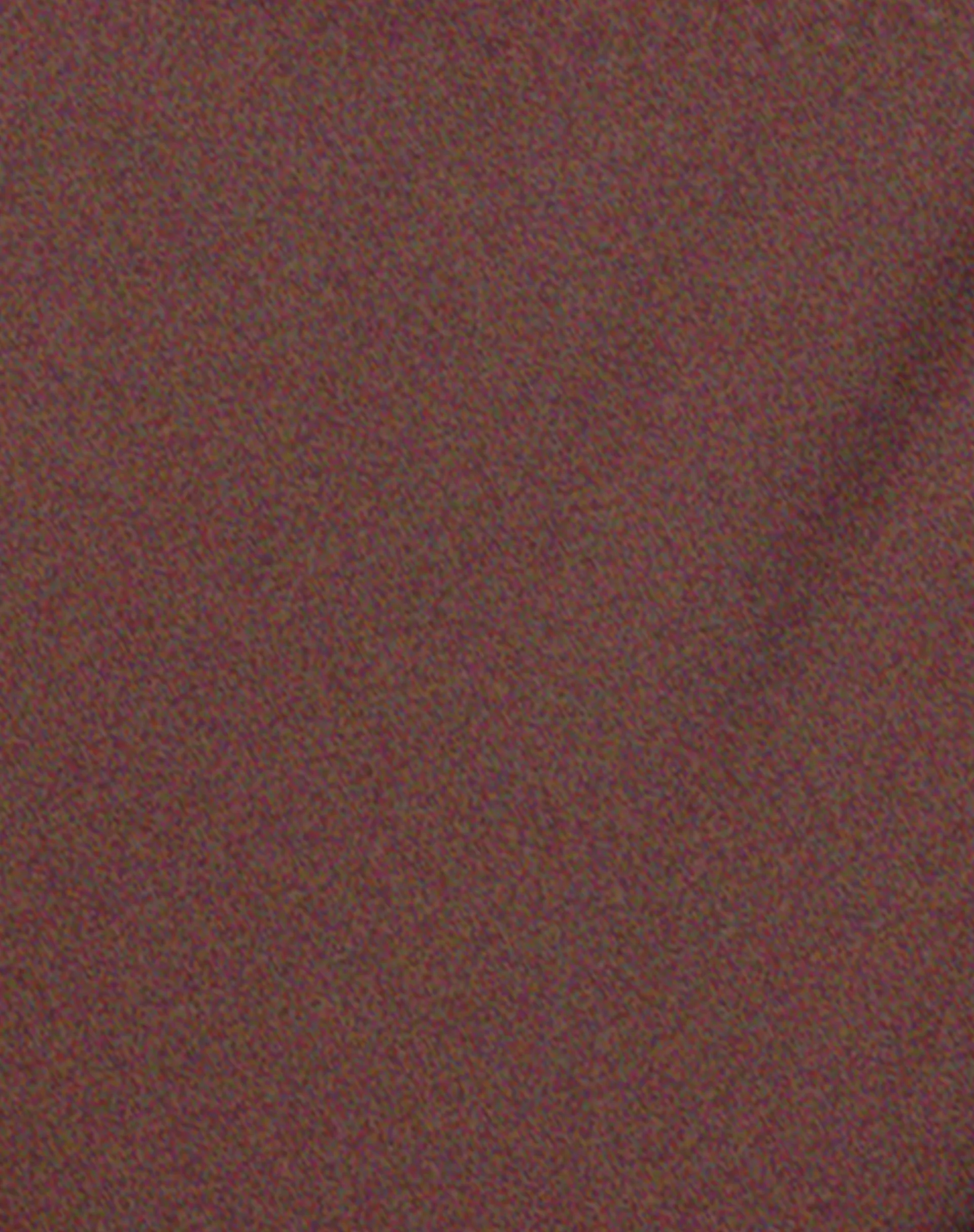 Fili Bikini Bottom in Coffee - Image 7