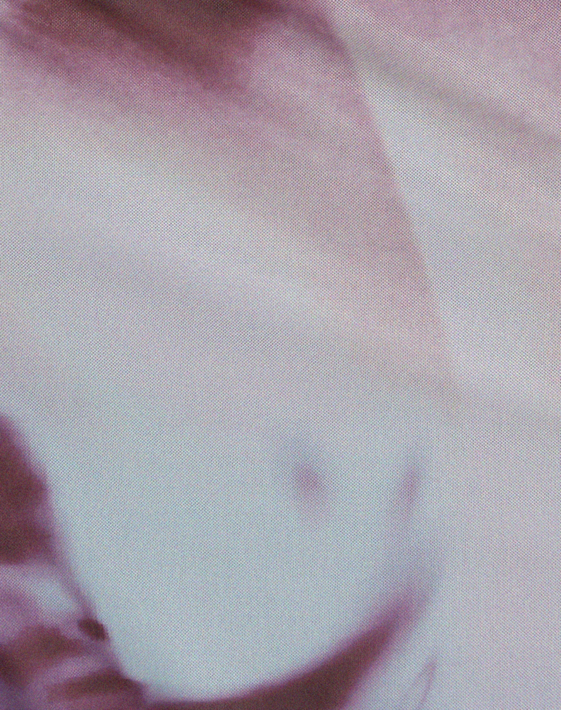 Lassie Low Rise Mesh Midi Skirt in Grey Anatomy of Nature - Image 6